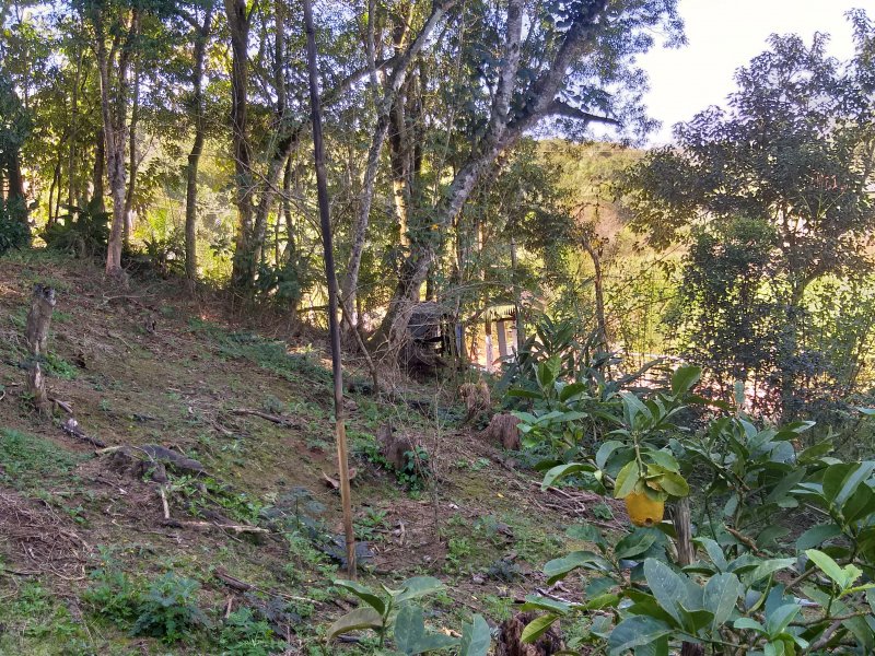 Terreno à venda Quinta Divisão com 1000m² e  quartos por R$ 65.000 - 2035963023-5.jpg