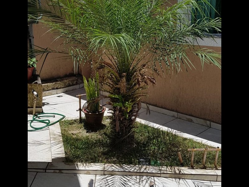Casa à venda Estação com 86m² e 2 quartos por R$ 320.000 - 1374431009-cd292339-fbf7-4ac9-baea-9f9191ade84f-1.jpg