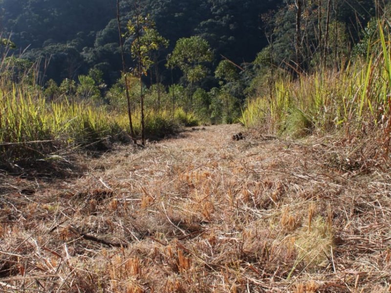 Terreno à venda Rio acima com 500m² e  quartos por R$ 34.900 - 795836251-ef22b250-8ed1-4193-ab42-2f6b18cc8750.jpeg