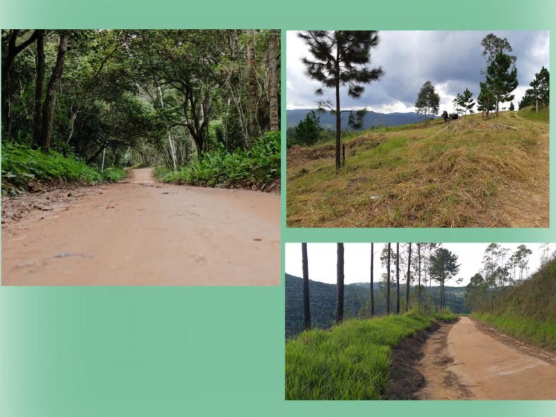 Terreno à venda Rio acima com 500m² e  quartos por R$ 34.900 - 828573649-1393a65e-98c0-4d6f-93e4-62671ee44a86.jpeg