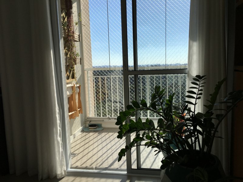 Apartamento à venda Vila Moraes com 64m² e 2 quartos por R$ 550.000 - 277448351-img-6346.JPG