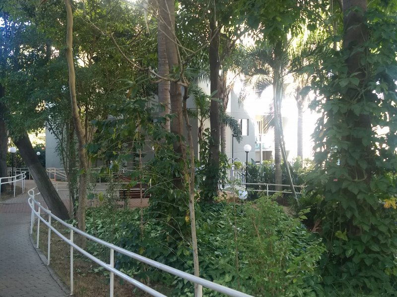 Apartamento à venda Jardim Centenário com 49m² e 2 quartos por R$ 265.000 - 1950730932-img-20190709-135247957.jpg