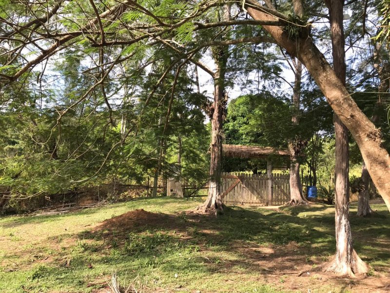 Sítio à venda Água Branca com 64166m² e 3 quartos por R$ 390.000 - 1057303094-eab72168-31aa-49a3-82eb-256faba5c06e.jpeg