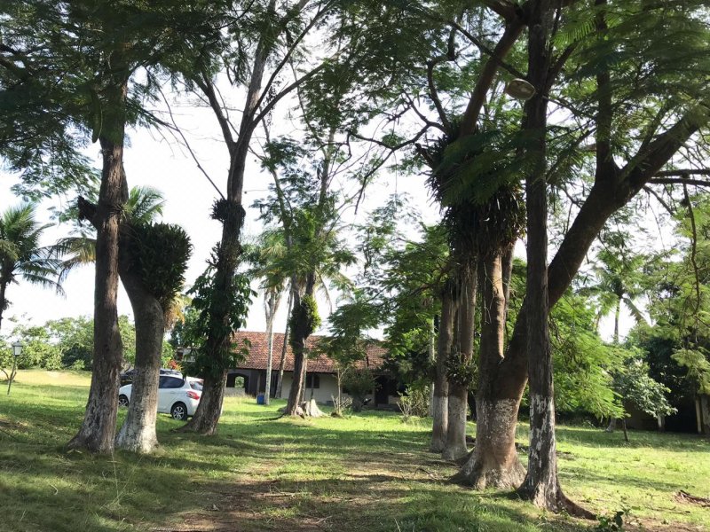 Sítio à venda Água Branca com 64166m² e 3 quartos por R$ 390.000 - 122473770-a975af35-877c-4b22-b2c1-c22768484f77.jpeg