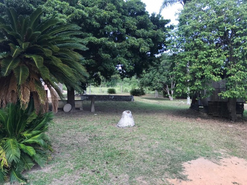 Sítio à venda Água Branca com 64166m² e 3 quartos por R$ 390.000 - 1267286318-844a29fc-596d-4d86-855a-a1dc75fc9d4c.jpeg