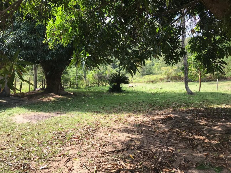 Sítio à venda Água Branca com 64166m² e 3 quartos por R$ 390.000 - 1718992034-7e5def27-148d-4913-afb8-d979e78e2942.jpeg