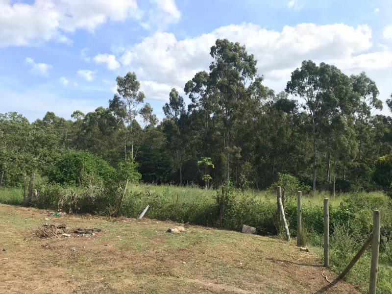 Sítio à venda Água Branca com 64166m² e 3 quartos por R$ 390.000 - 2002483715-c96ffe65-183d-403b-8a49-d8bdcfa54c8c.jpeg