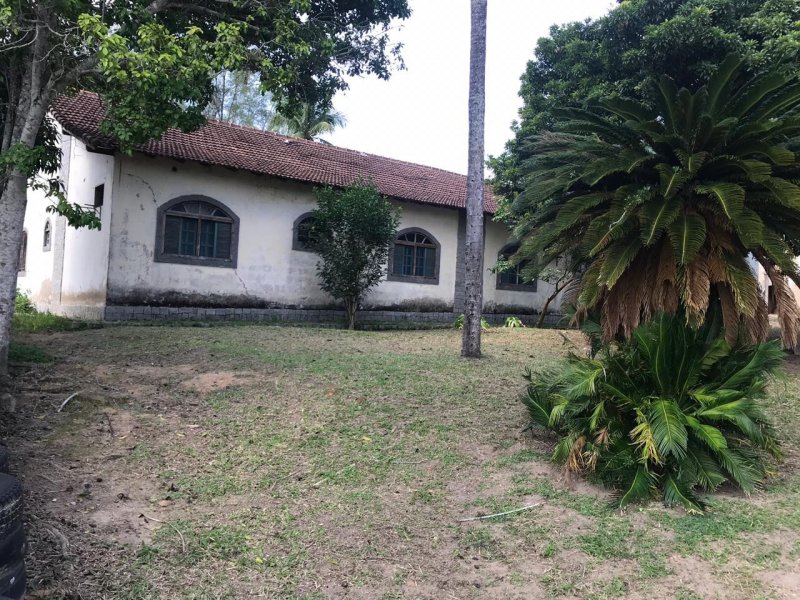 Sítio à venda Água Branca com 64166m² e 3 quartos por R$ 390.000 - 371167470-faecc928-146a-4495-8754-b7d8b66a681e.jpeg