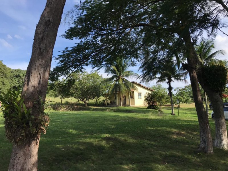 Sítio à venda Água Branca com 64166m² e 3 quartos por R$ 390.000 - 707451114-9267d57f-37d7-467a-9431-c2f4c43c05ab.jpeg