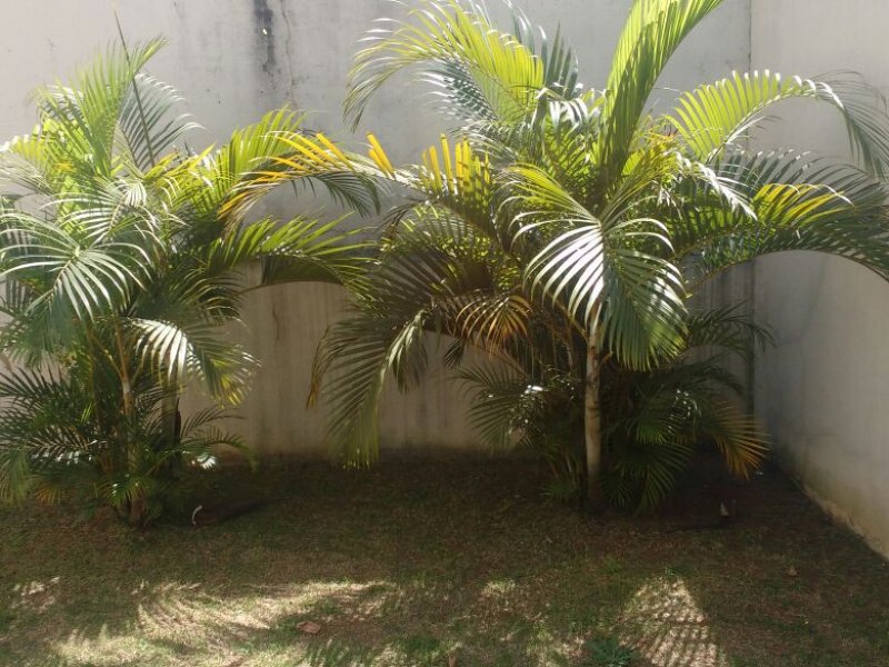 Apartamento à venda Vila Macedopolis com 70m² e 2 quartos por R$ 310.000 - 1398465386-img-20190604-wa0023.jpg