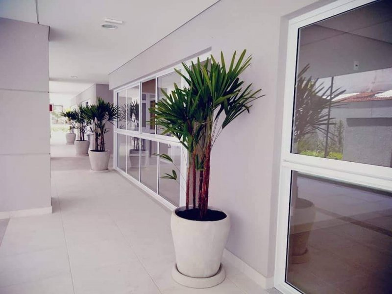 Apartamento à venda Vila Esperança com 50m² e 2 quartos por R$ 310.000 - 1221276307-thumbnail-fb-img-1544638709872.jpg