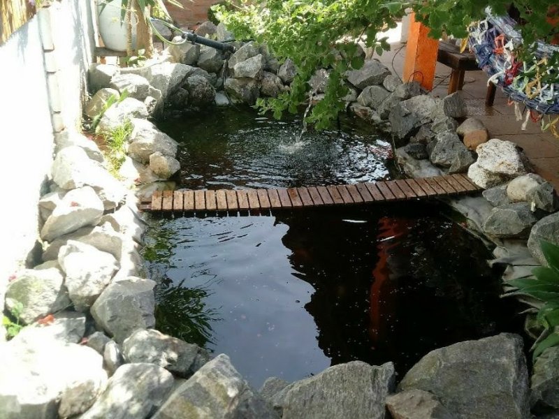 Casa à venda Chacara Belverde com 250m² e 2 quartos por R$ 550.000 - 1704578610-img-20180629-wa0043.jpg