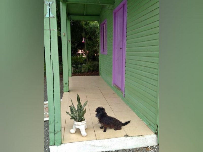 Casa de condomínio à venda Lami com 100m² e 2 quartos por R$ 65.000 - 1376893050-anuncioprimavera6.jpg