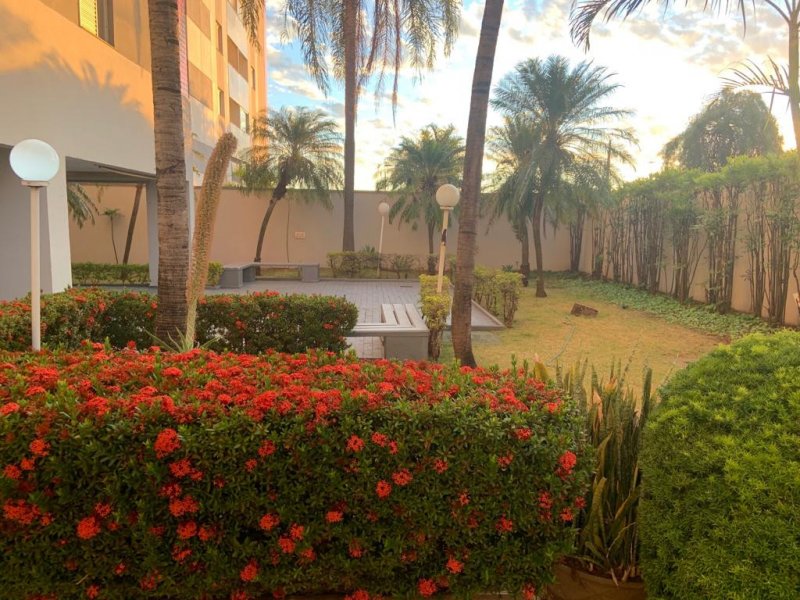 Apartamento à venda Rezende Junqueira com 113m² e 4 quartos por R$ 360.000 - 1477943746-whatsapp-image-2019-08-06-at-19.jpeg