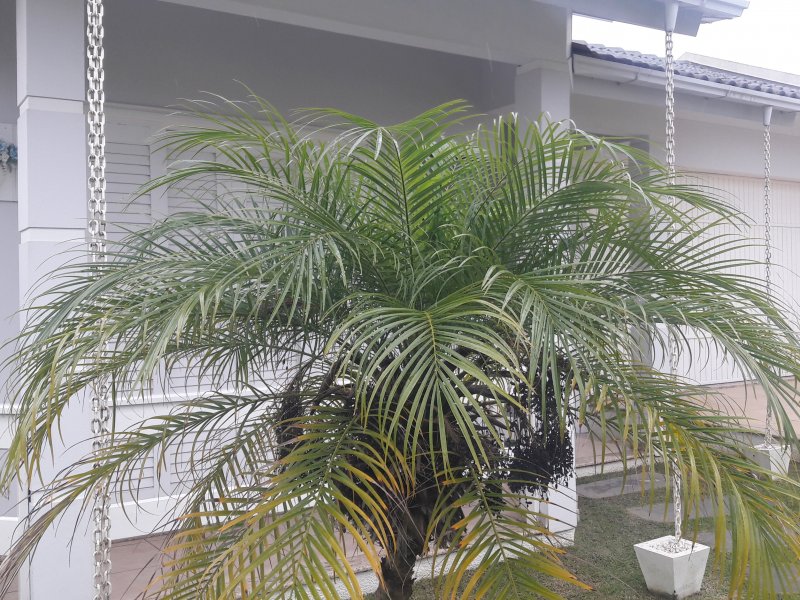 Casa à venda Jardim das Avenidas com 146m² e 3 quartos por R$ 550.000 - 1373197711-20190608-133744.jpg