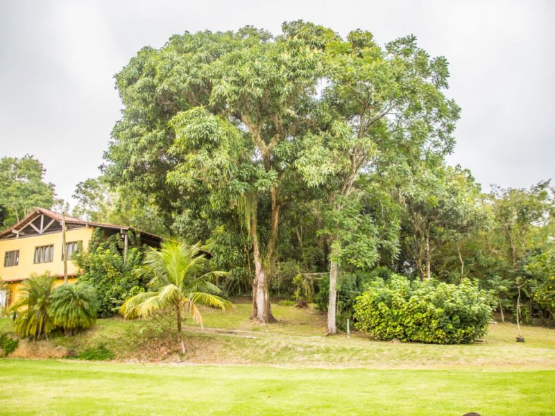 Sítio à venda Guaratiba com 10000m² e 3 quartos por R$ 3.000.000 - 1994847844-d4b018b1-9529-4d68-8b1b-14fe1c718e73.jpeg
