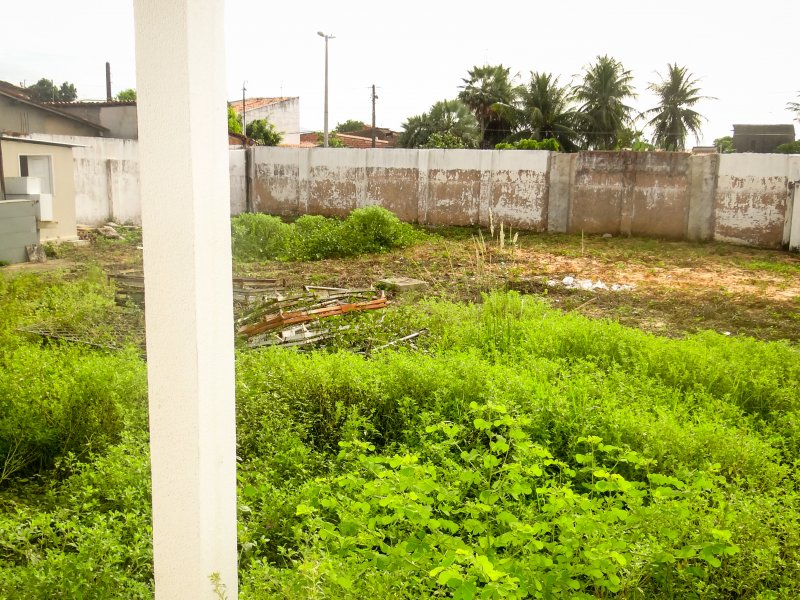 Comercial à venda Henrique Jorge com 3435m² e 1 quarto por R$ 13 - 1338704861-dsc04155.jpg