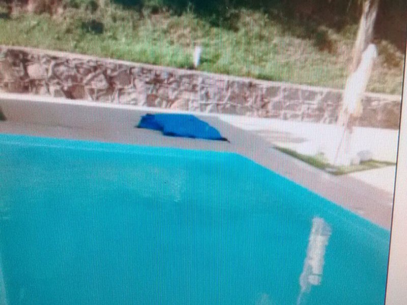 Casa de condomínio à venda Jardim Jandira com 63m² e 2 quartos por R$ 280.000 - 1164749257-img-20190715-wa0050.jpg