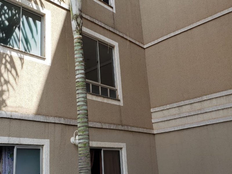Apartamento à venda Macedo com 46m² e 2 quartos por R$ 168.000 - 1243409151-whatsapp-image-2019-07-17-at-17.jpeg