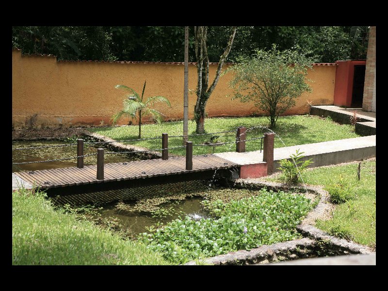 Casa à venda Praia de Boiçucanga com 300m² e 3 quartos por R$ 1.500.000 - 491694634-6329f3f1-e8b6-4538-ba2c-78cccadc68c1.jpeg