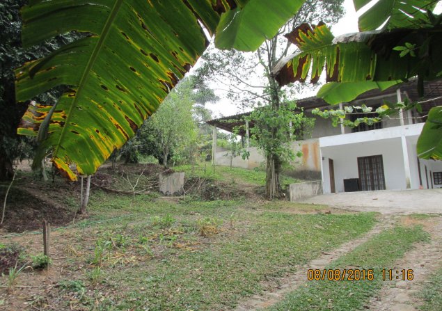 imóvel com 585m²