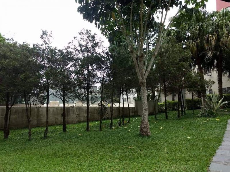 Apartamento à venda Socorro com 55m² e 2 quartos por R$ 300.000 - 1202134580-fb-img-1563065901092.jpg
