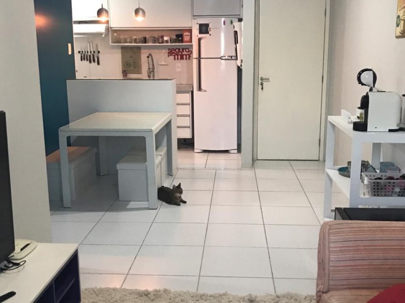 imóvel com 60m² - Casa Caiada - Olinda