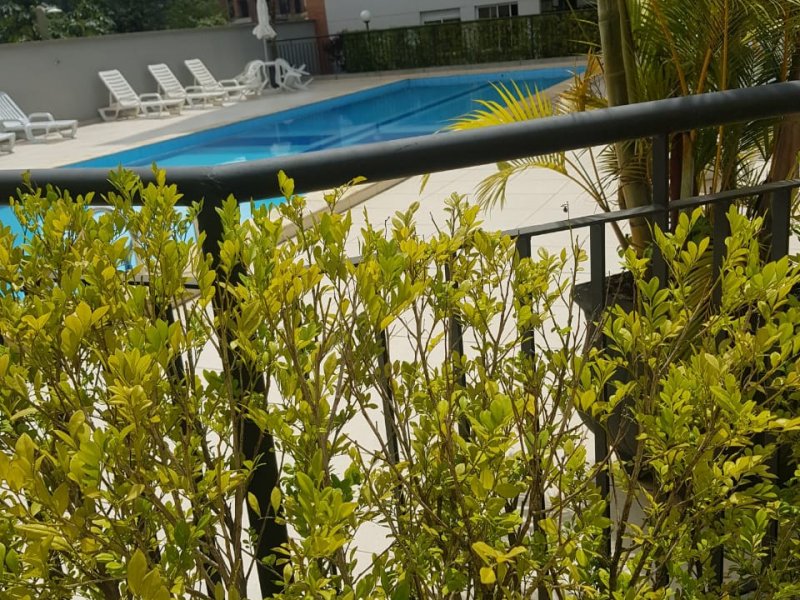 Apartamento à venda Jardim Ampliação com 38m² e 1 quarto por R$ 248.000 - 260948769-whatsapp-image-2019-04-22-at-16.jpeg
