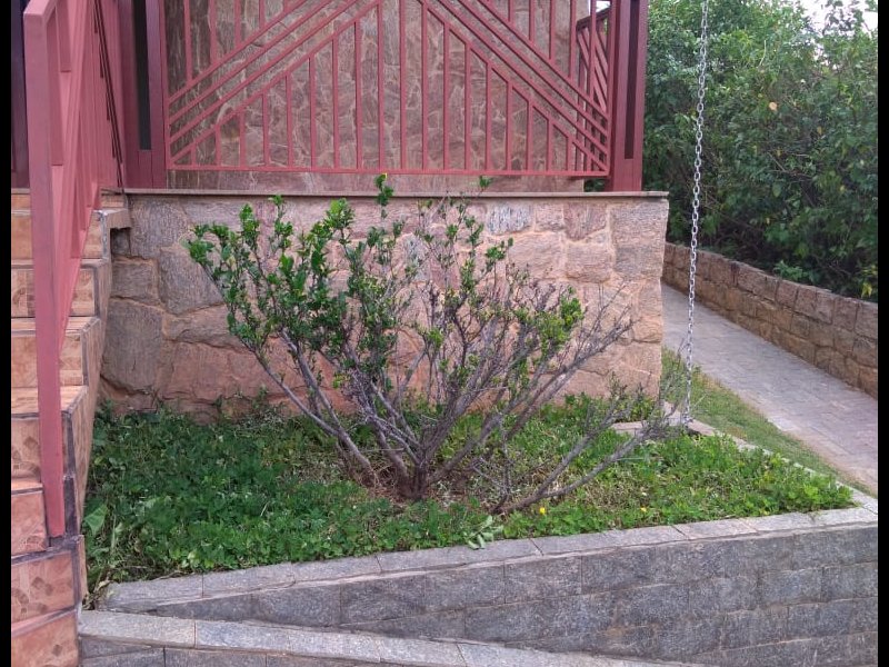 Casa à venda Jardim das Paineiras com 320m² e 3 quartos por R$ 720.000 - 1256506417-a7a0e6a0-c676-464d-b972-5f7cc5cc5fbe.jpeg