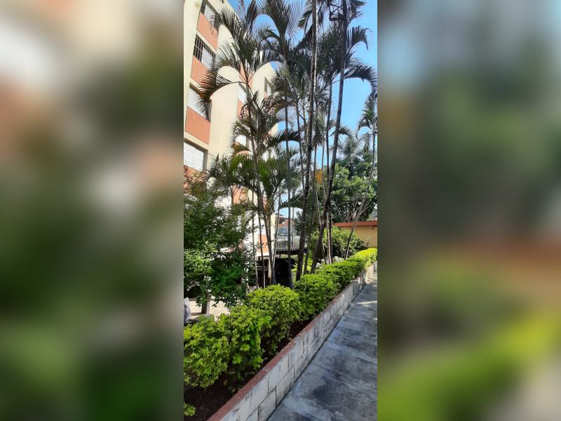 Apartamento à venda Raposo Tavares com 60m² e 2 quartos por R$ 220.000 - 20201108-153338.jpg