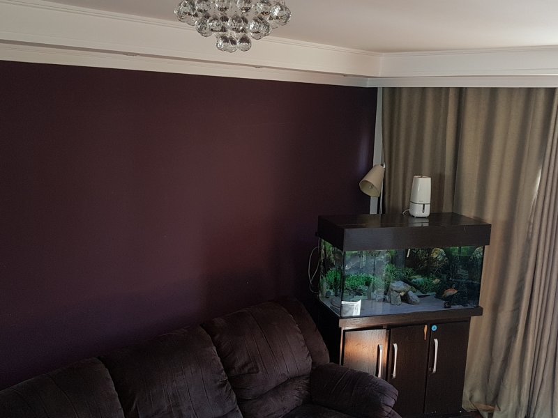 Apartamento à venda Liberdade com 50m² e 2 quartos por R$ 330.000 - 863744813-20190723-130721.jpg