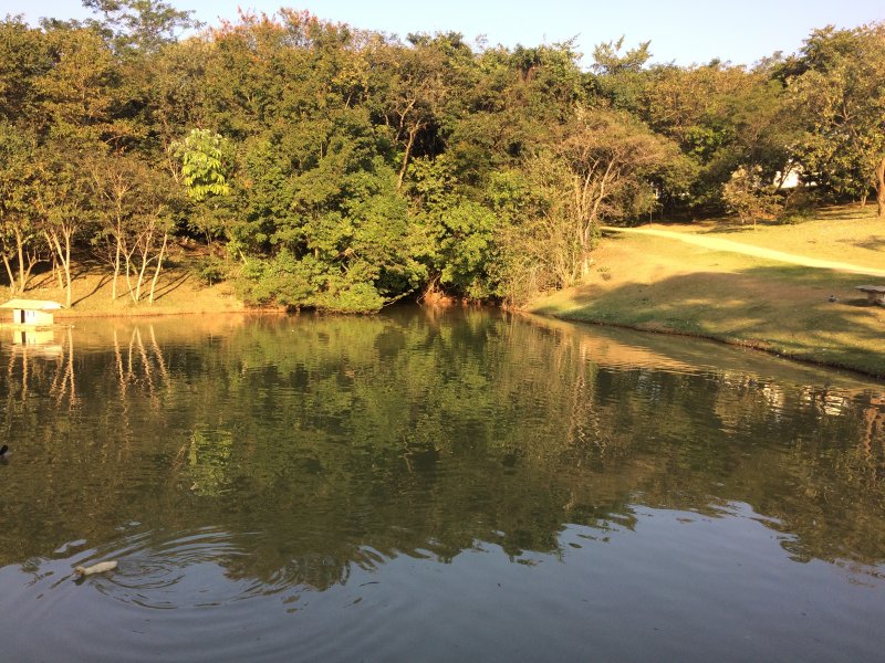 imóvel com 200m² - Jardim Novo Horizonte - Sorocaba