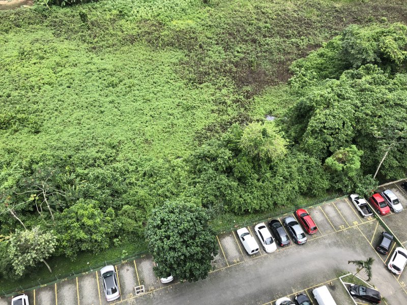 Apartamento à venda Itanhangá com 50m² e 2 quartos por R$ 210.000 - 810307676-img-6034.JPG