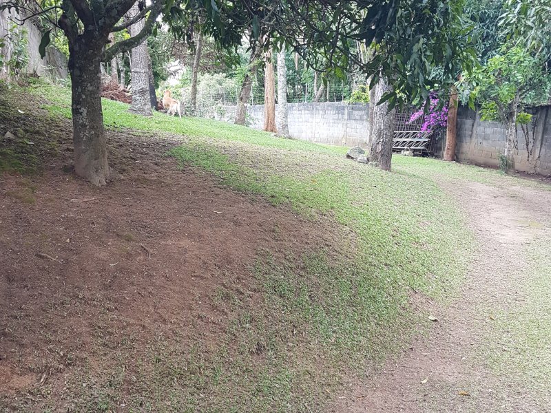 imóvel com 3000m² - Mairiporã - Mairiporã