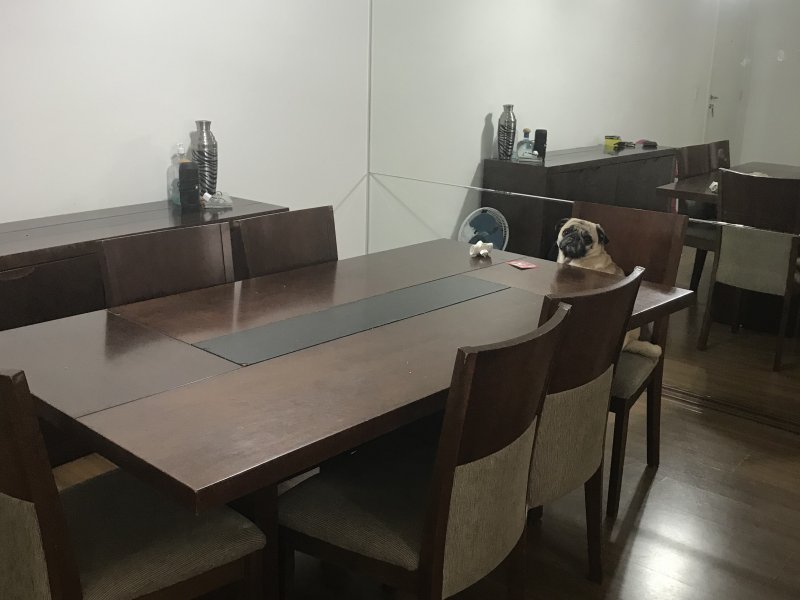 Apartamento à venda Vila Jordanópolis com 64m² e 2 quartos por R$ 350 - 585819883-a95522e6-c3ab-459b-ad59-515755b794ac.jpeg