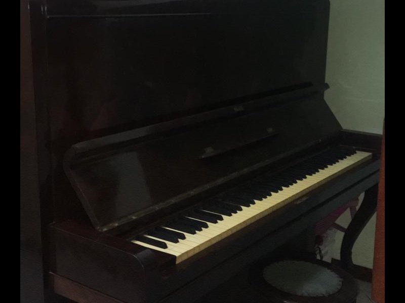 Apartamento à venda Parque Marajoara com 220m² e 3 quartos por R$ 590.000 - 1293061022-salinha-i.jpg