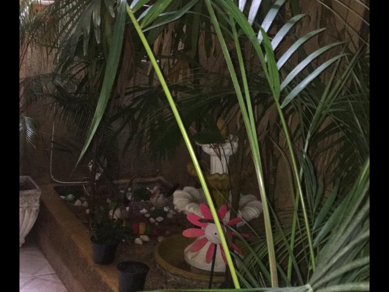 Apartamento à venda Parque Marajoara com 220m² e 3 quartos por R$ 590.000 - 945562744-quintal-jardim-ii.jpg