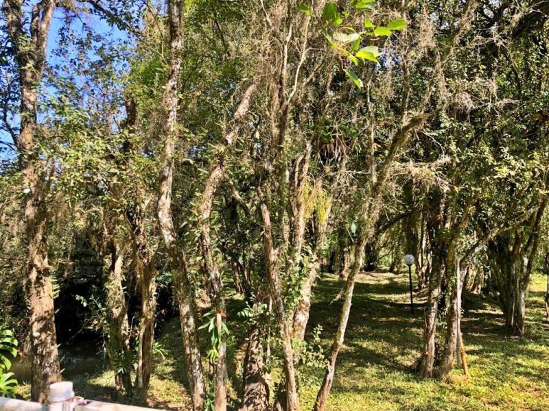 Chácara à venda Alpes de Bom Jesus com 3000m² e 6 quartos por R$ 1.700.000 - 1924547200-whatsapp-image-2019-07-15-at-11.jpeg