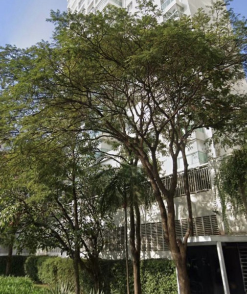 Apartamento à venda Indianópolis com 122m² e 2 quartos por R$ 2.444.444 - 803835933-img-6020.jpeg