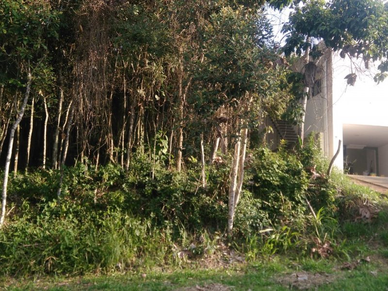 Terreno à venda Centro com 422m² e  quartos por R$ 300.000 - 175761489-img-20190725-wa0050.jpg