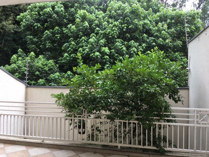 Casa à venda Jardim Palermo com 297m² e 3 quartos por R$ 940.000 - 443223538-ab836295-ce5f-4497-a5d4-2b17f78fc20f.jpeg