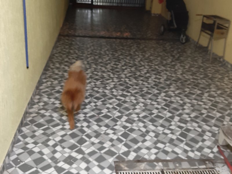 Casa à venda Vila Rosaria com 300m² e 3 quartos por R$ 350.000 - 1558131672-img-20190729-2011184858528256291528953.jpg