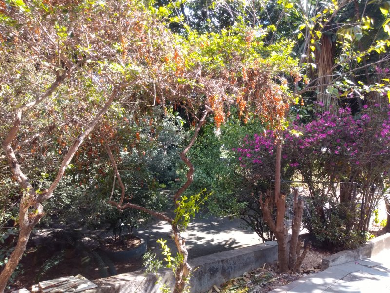 Casa à venda Filadélfia com 1080m² e 3 quartos por R$ 1.500.000 - 2050420857-img-20190810-140204413.jpg