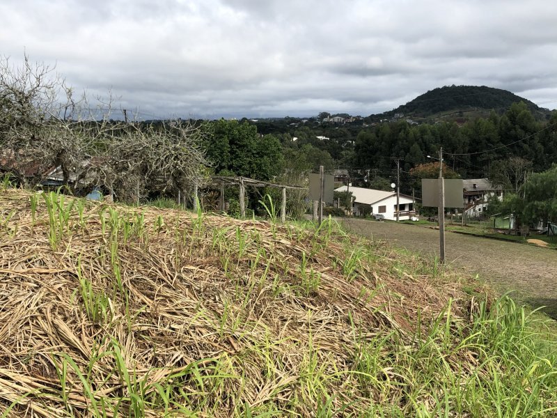 Terreno à venda Piá com 487m² e  quartos por R$ 130.000 - 1179954897-800x600-897078548-b67eb1f4-ecd2-421f-8627-1179c8f70e92.jpeg