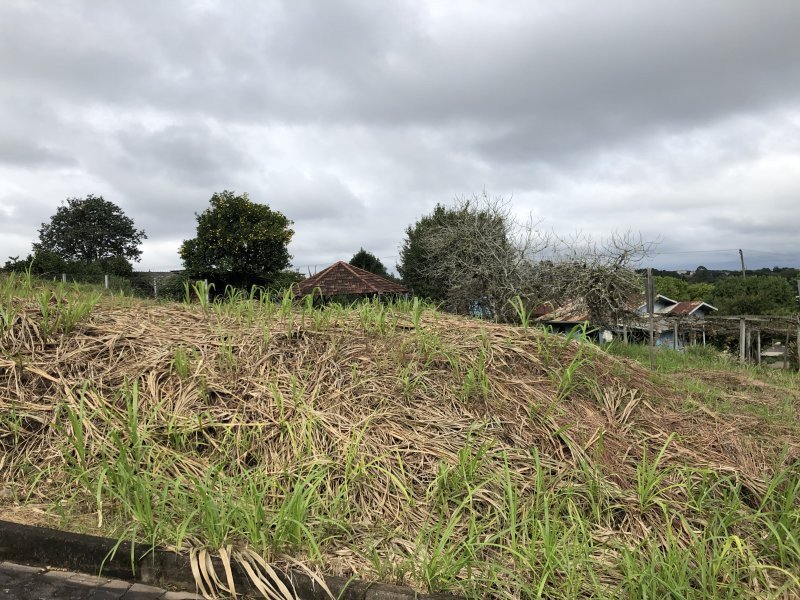 Terreno à venda Piá com 487m² e  quartos por R$ 130.000 - 1560898114-800x600-98328222-208fbbea-2a3e-4673-968e-16a72f521503.jpeg