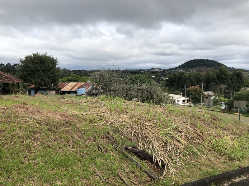 Terreno à venda Piá com 487m² e  quartos por R$ 130.000 - 2022070181-800x600-1701509504-2ed759b3-a771-4bef-abe1-4d6c14b04af0.jpeg