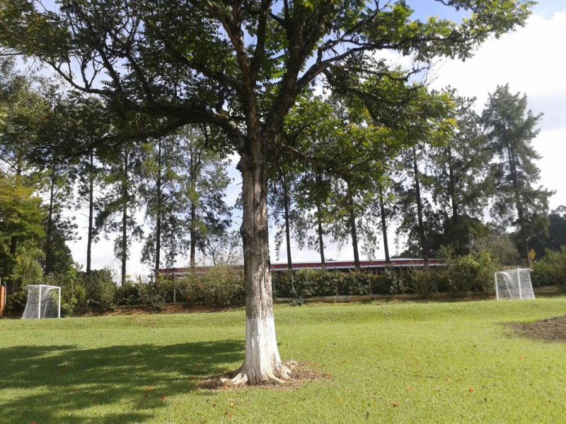 imóvel com 400m² - Centro - Porto Feliz