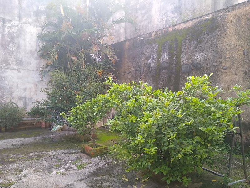 Casa à venda Vila Formosa com 700m² e 4 quartos por R$ 2.700.000 - 1539773377-img-20200305-081132578.jpg