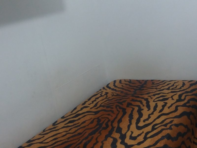 Apartamento à venda Conjunto Residencial José Bonifacio com 37m² e 2 quartos por R$ 160.000 - 264384972-20190806-202903.jpg