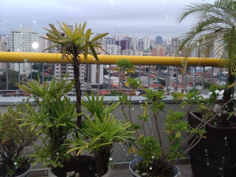 Cobertura à venda Vila Mariana com 194m² e 4 quartos por R$ 2.162.000 - 1418831668-whatsapp-image-2019-08-05-at-12.jpeg